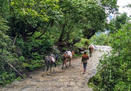 Religious Journey