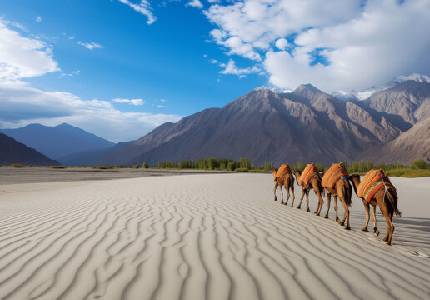 Ladakh & Spiti Adventures