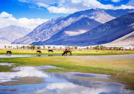 Ladakh & Spiti Adventures