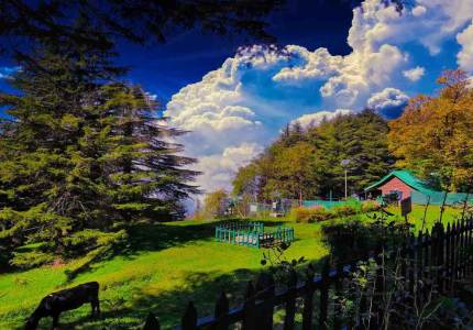 Himachal Adventures
