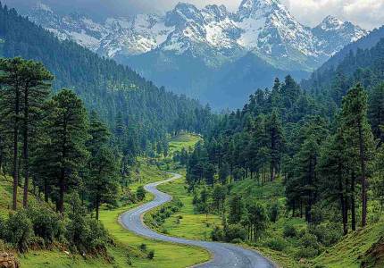 Himachal Adventures