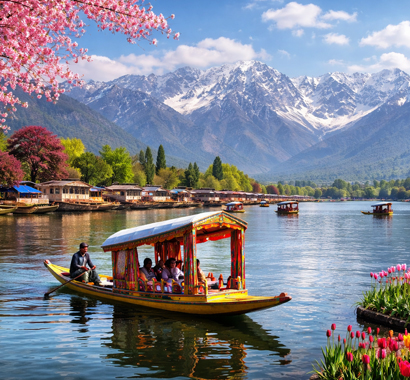 Srinagar Tours